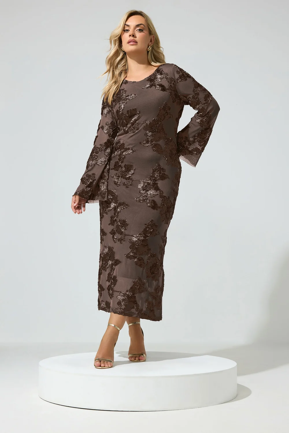 Yours London Curve Chocolate Brown Floral Applique Maxi Dress - 22 Image 1