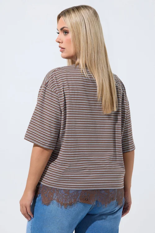 Yours Limited Collection Curve Chocolate Brown Stripe Lace Hem T-Shirt - 12 Image 3