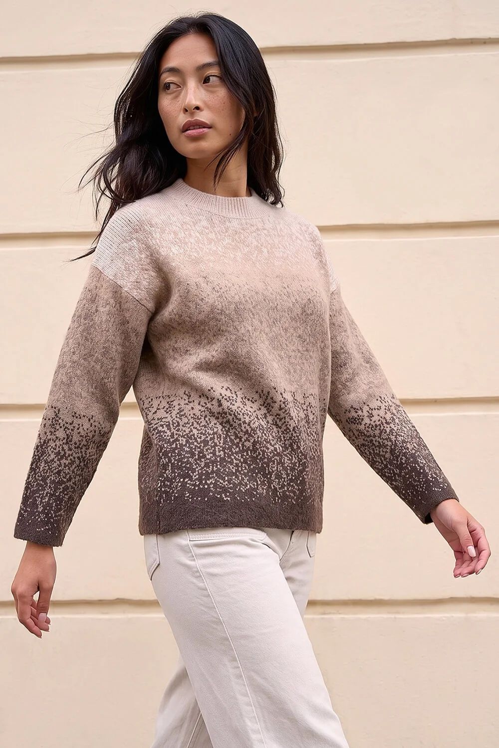 Roman Chocolate Petite Ombre Jumper - 18 Image 1