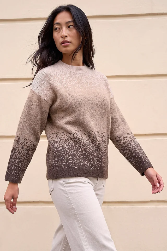 Roman Chocolate Petite Ombre Jumper