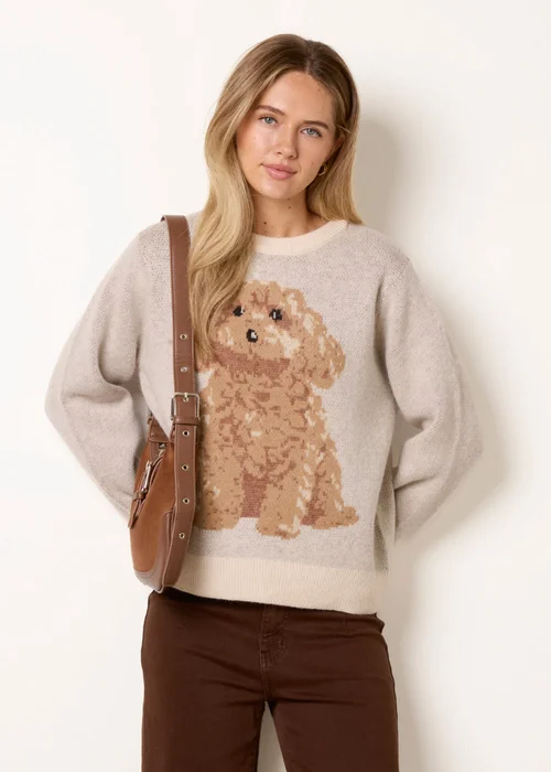 Blue Vanilla Stone Knitted Round Neck Dog Jumper - S/M Image 1