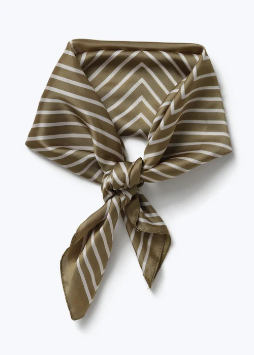 Muse Green Stripe Scarf - One Size Image 1