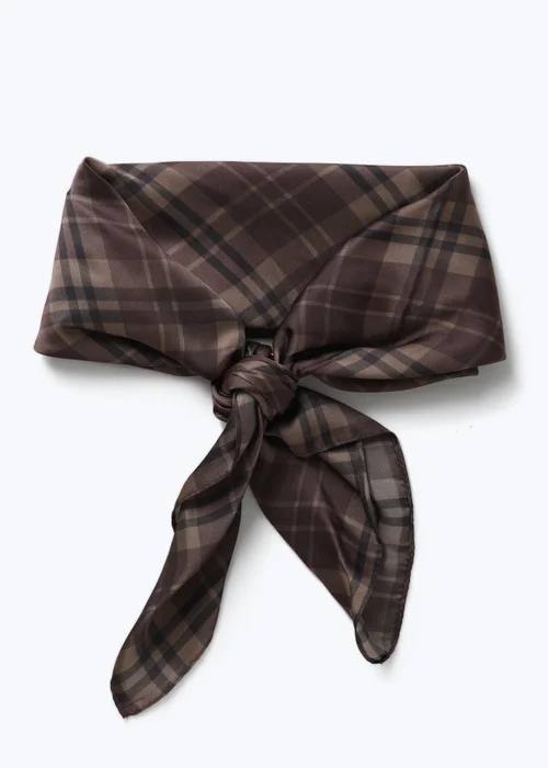 Muse Brown Check Neck Scarf - One Size Image 1