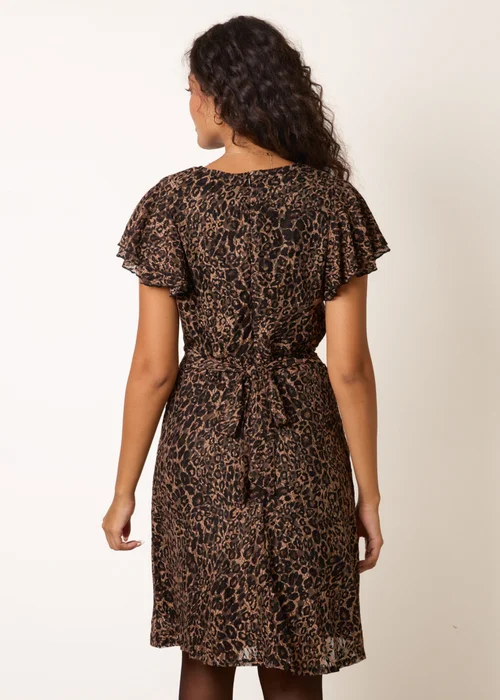 Blue Vanilla Brown Leopard Print Lace Frill Sleeve Wrap Mini Dress - L Image 4