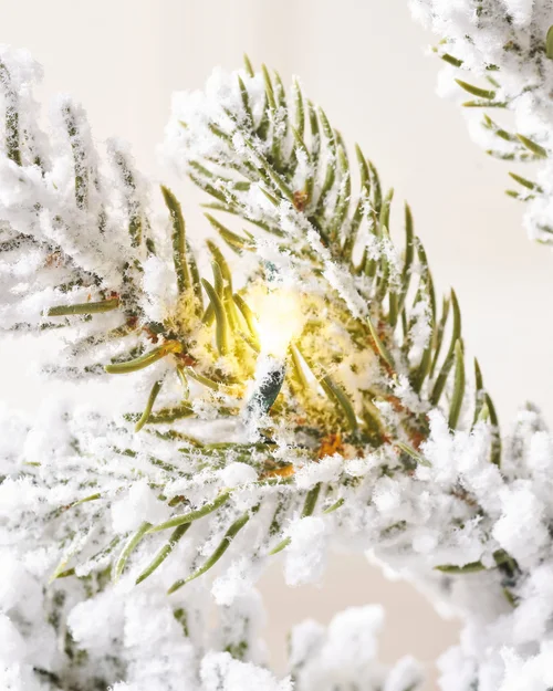 WeRChristmas Green Pre-Lit Snow-Flocked Potted Artificial Christmas Tree 80 Warm White Leds 3 Ft - No Size Image 3