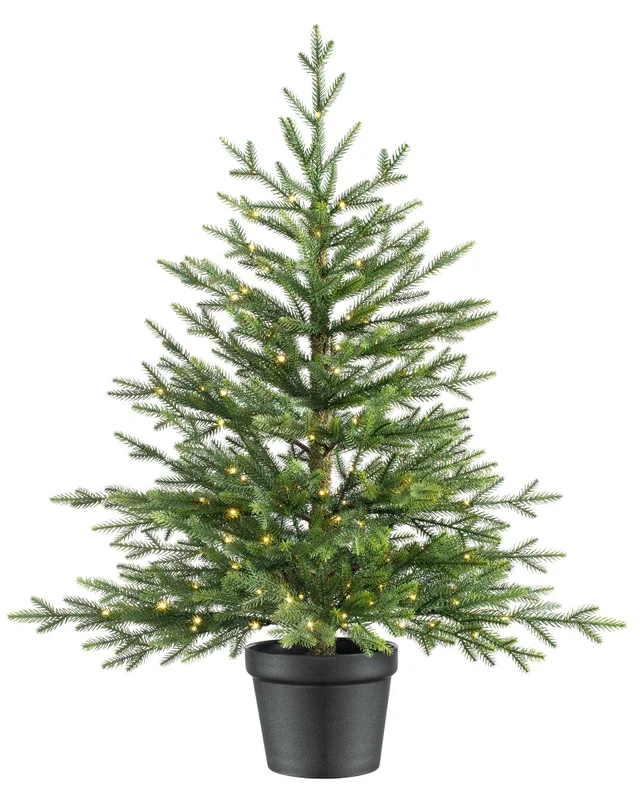WeRChristmas Green Pre-Lit Potted Douglas Fir Artificial Christmas Tree 150 Warm White Leds 3 Ft