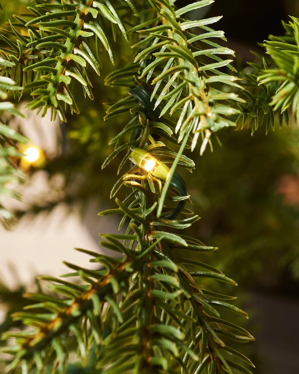 WeRChristmas Green Pre-Lit Potted Douglas Fir Artificial Christmas Tree 150 Warm White Leds 3 Ft - No Size Image 4