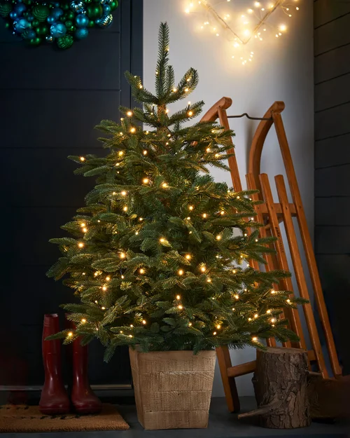 WeRChristmas Green Pre-Lit Potted Alaskan Fir Artificial Christmas Tree 150 Warm White Leds 4 Ft - No Size Image 2