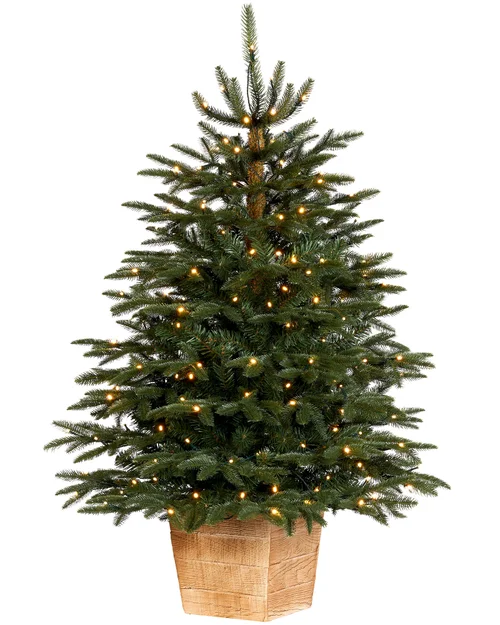 WeRChristmas Green Pre-Lit Potted Alaskan Fir Artificial Christmas Tree 150 Warm White Leds 4 Ft - No Size Image 1