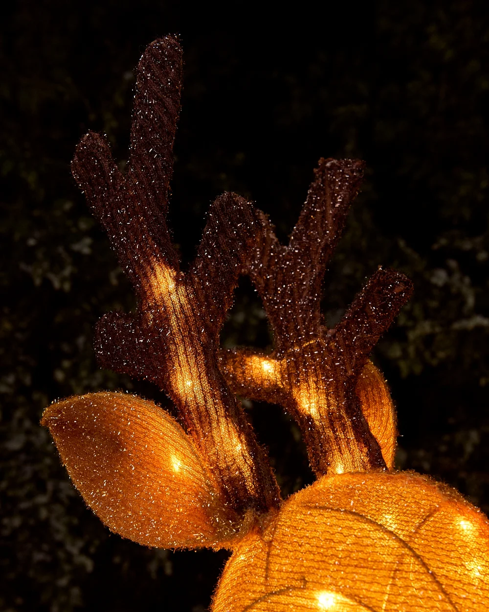 WeRChristmas Pre-Lit 3D Reindeer Silhouette 103 Cm - No Size Image 4