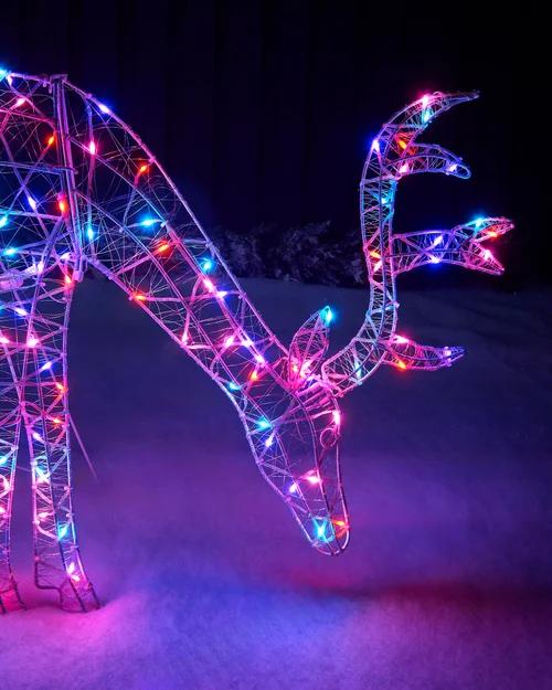 WeRChristmas White Pre-Lit 2D Aurora Grazing Reindeer 95 Cm - No Size Image 2