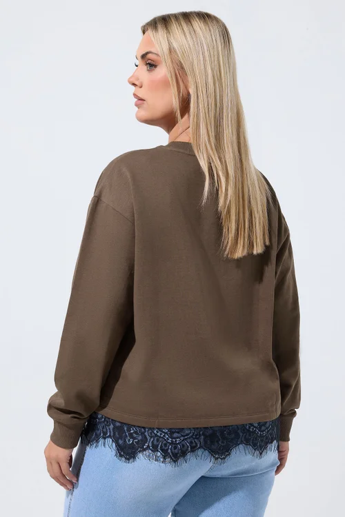 Yours Limited Collection Curve Chocolate Brown Lace Hem Sweatshirt - 16 Image 3