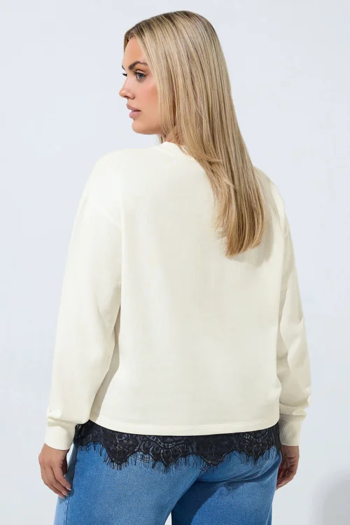 Yours Limited Collection Curve Cream Lace Hem Sweatshirt - 18 Image 3