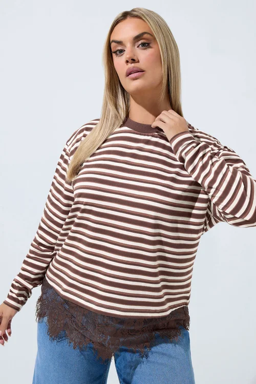 Yours Limited Collection Curve Brown Stripe Lace Trim Top - 12 Image 1