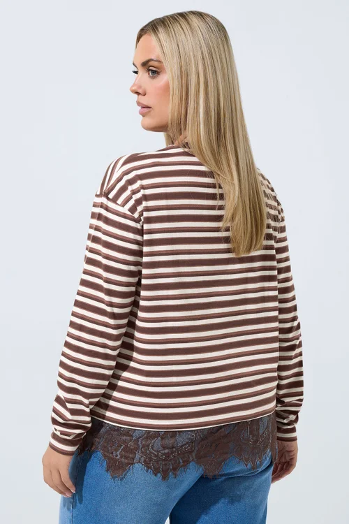 Yours Limited Collection Curve Brown Stripe Lace Trim Top - 12 Image 3