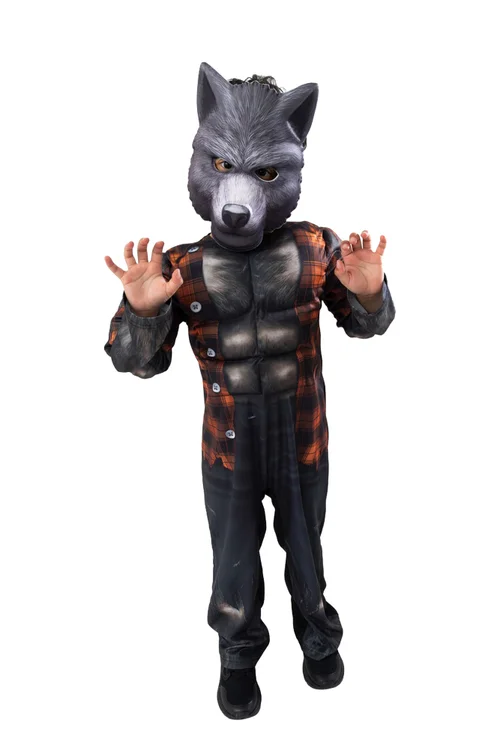 Vanilla Underground Boys Grey Werewolf 2 Piece Costume (3-10 Years) - 8-10 Yrs Image 1