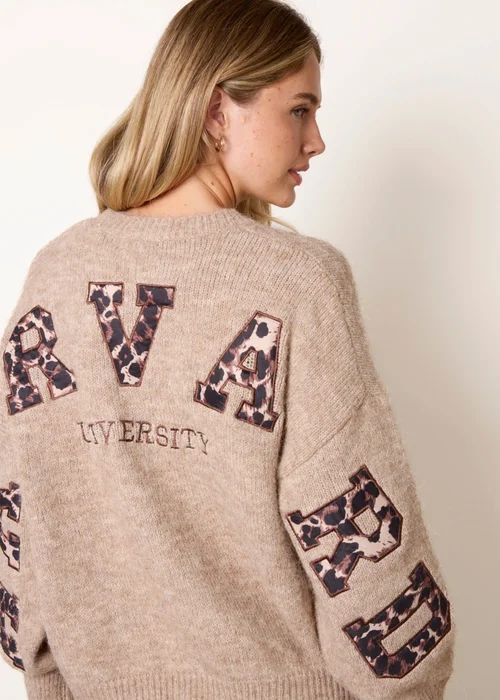 Blue Vanilla Beige Initial Leopard Embroidered Jumper - One Size Image 2