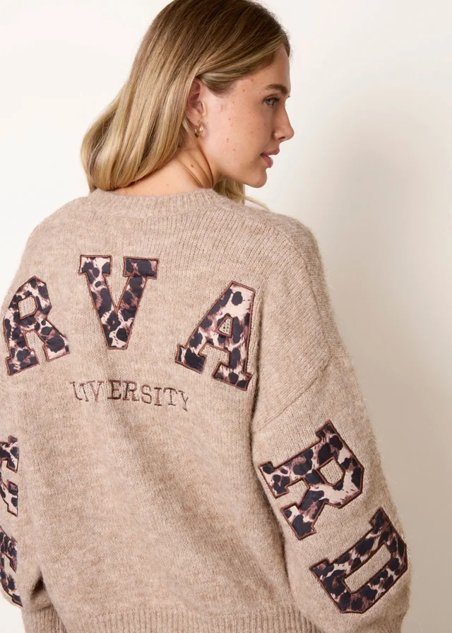 Blue Vanilla Beige Initial Leopard Embroidered Jumper
