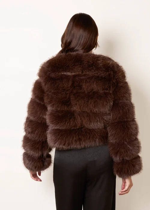 Blue Vanilla Brown Faux Fur Short Coat - S Image 4