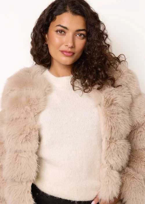 Blue Vanilla Beige Faux Fur Short Coat - S Image 2