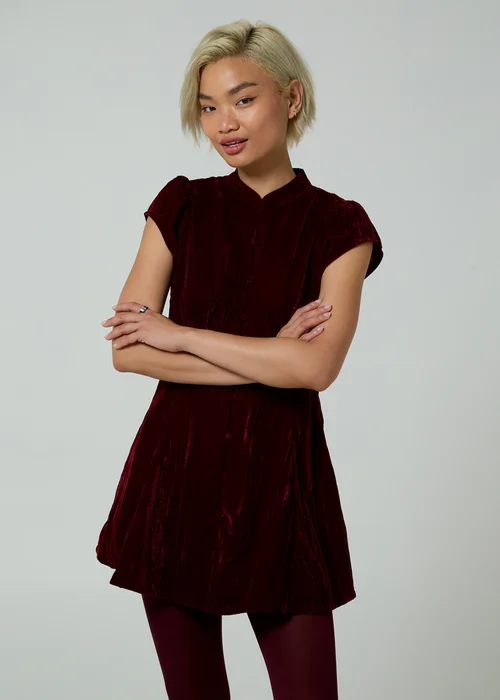 Neon Rose Burgundy Velvet Mandarin Collar Cap Sleeve A-Line Mini Dress - XS Image 5