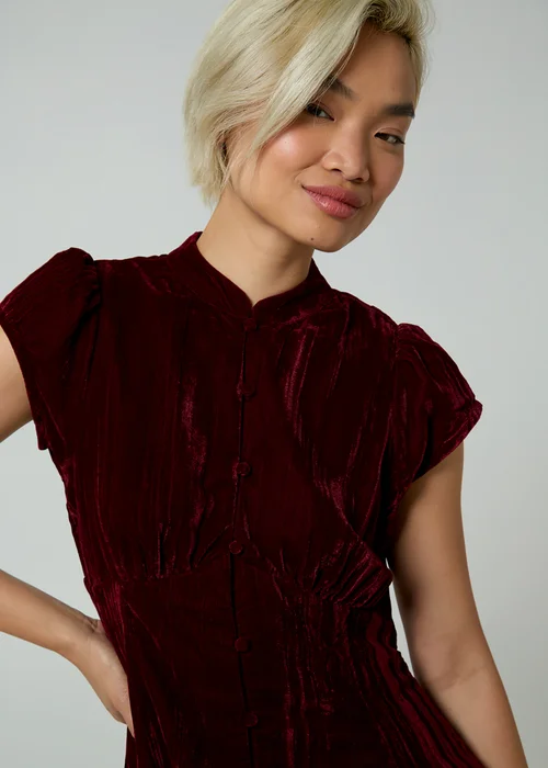 Neon Rose Burgundy Velvet Mandarin Collar Cap Sleeve A-Line Mini Dress - XS Image 3