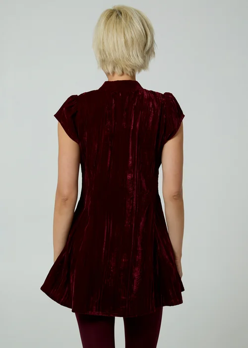 Neon Rose Burgundy Velvet Mandarin Collar Cap Sleeve A-Line Mini Dress - XS Image 2