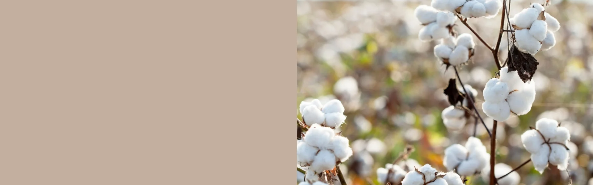 Responsible Sourcing