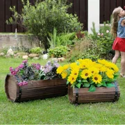 Garden & Outdoor