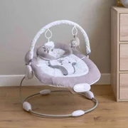Baby Bouncers