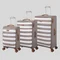 Softshell Suitcases