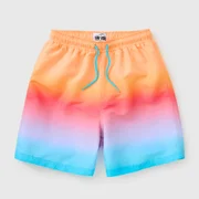 Swimming Shorts