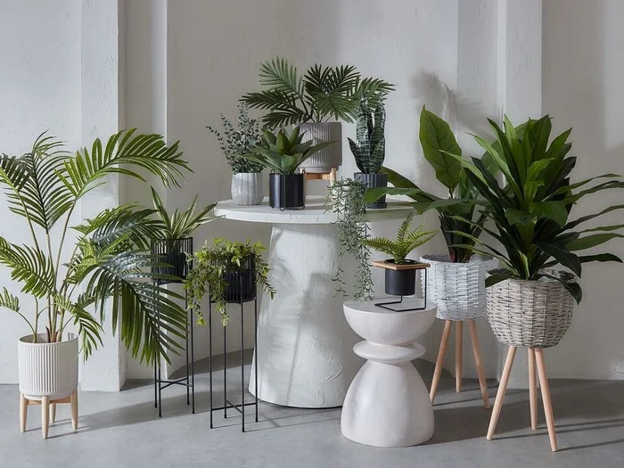 Garden Decor
